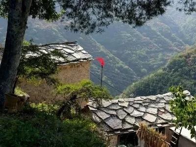 1-200521115421960 918博天堂·(中国集团)最新官方网站